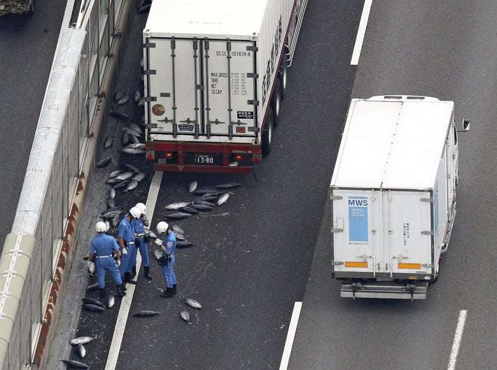 「高速道に大量カツオ散乱」トラック荷台の扉開く : 国内 : 読売新聞オンライン