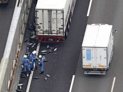 「高速道に大量カツオ散乱」トラック荷台の扉開く
