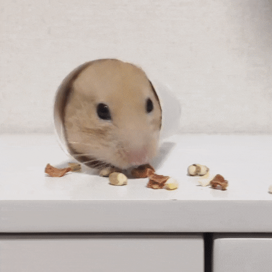 最後に「〜のであった」をつけて会話するトピックス