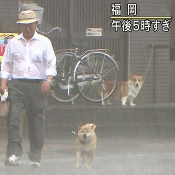 絶妙な表情をしてる画像を貼るトピ