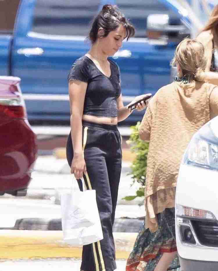 ショーン・メンデス&カミラ・カベロに交際説再び 手を繋ぎショーンの自宅へ