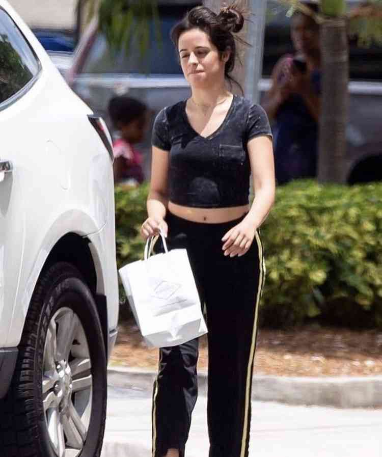 ショーン・メンデス&カミラ・カベロに交際説再び 手を繋ぎショーンの自宅へ