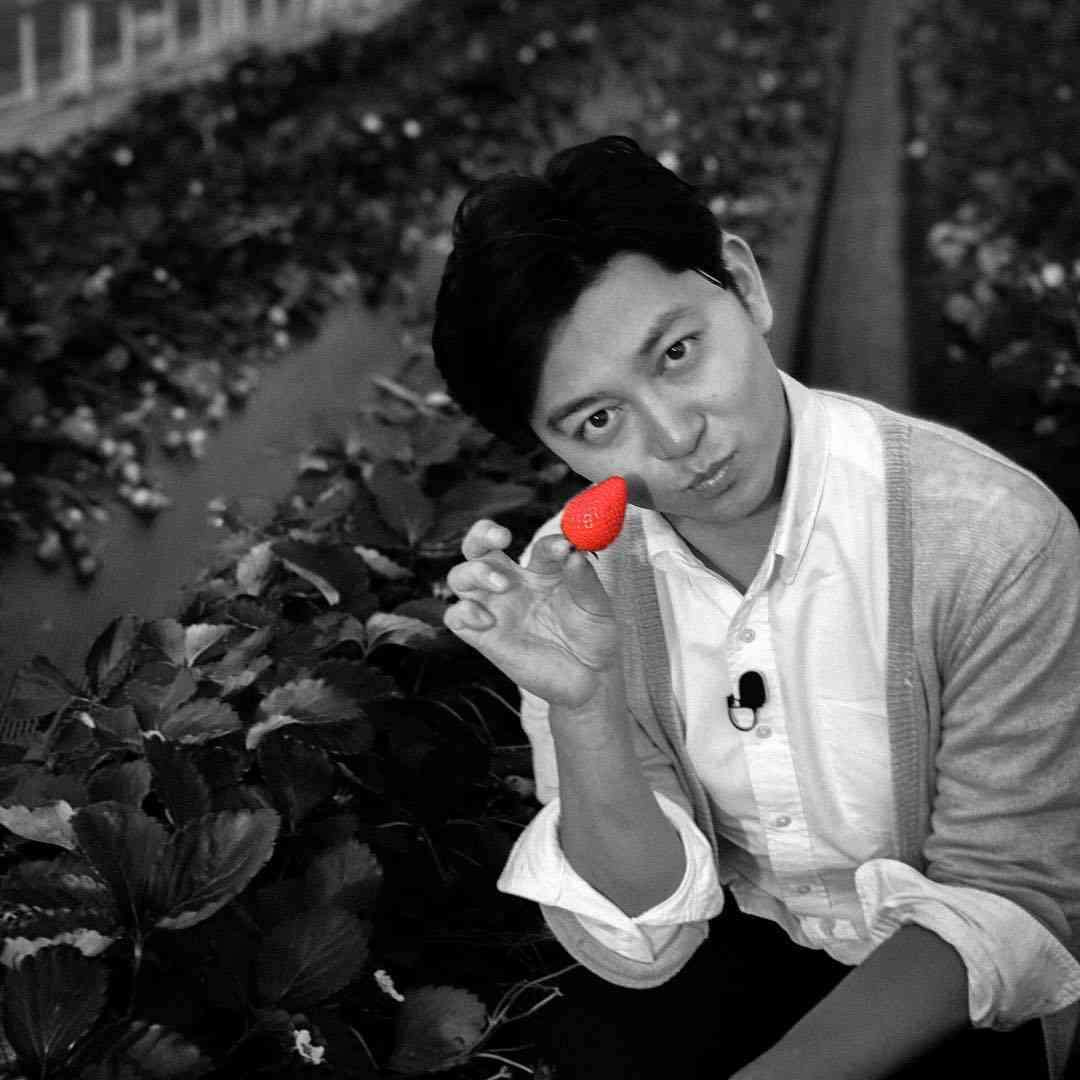 この芸能人のここが気になる【容姿以外】