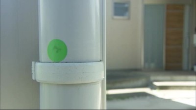 住宅街に謎のシール　色に規則が…