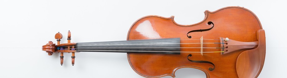 東京の学生オーケストラ、学校管弦楽部まとめ 小学校、中学校、高校、大学 - 千葉県習志野市～菊池バイオリン教室～　ヴァイオリン/習志野/船橋