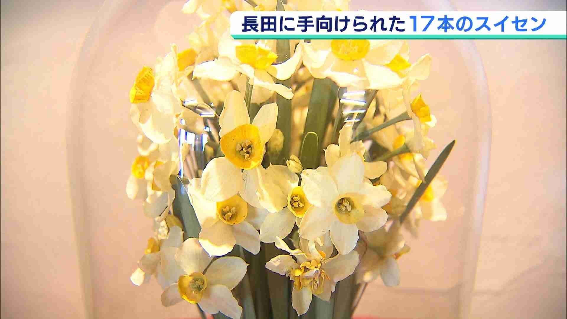 美智子さまと被災地を結ぶ“17本のスイセン”（MBSニュース） - Yahoo!ニュース