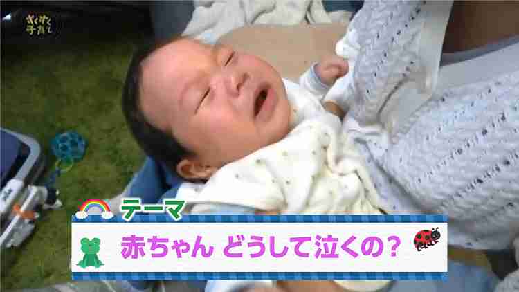 赤ちゃん どうして泣くの？ - NHK Eテレ すくすく子育て