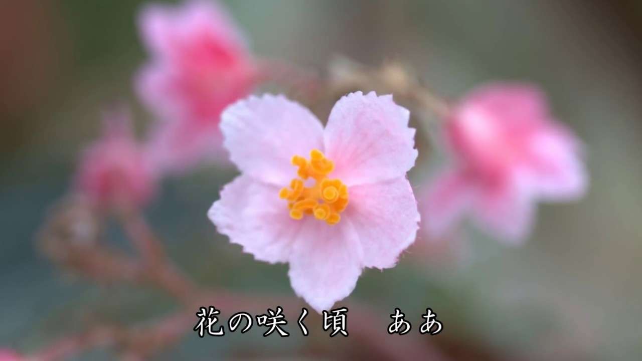 旅愁　西崎みどり - YouTube