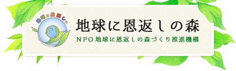 これまでのあゆみ | 地球に恩返しの森