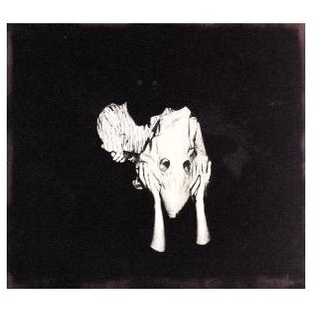 聴いたことがある洋楽アルバムにプラス