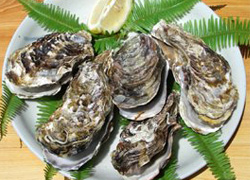 見た目キツいのはわかってるけど好きな食べ物