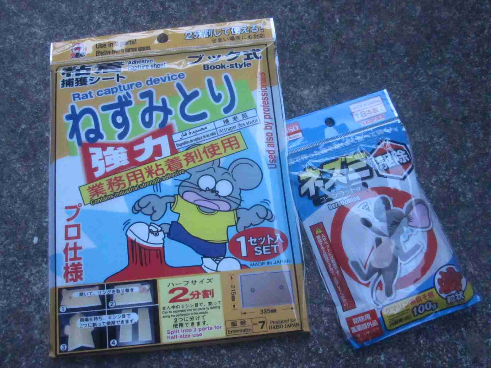 家でネズミが出た事ある人いますかっ??