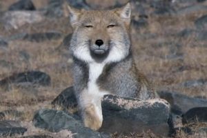 何度も同じ話しをしてくる人