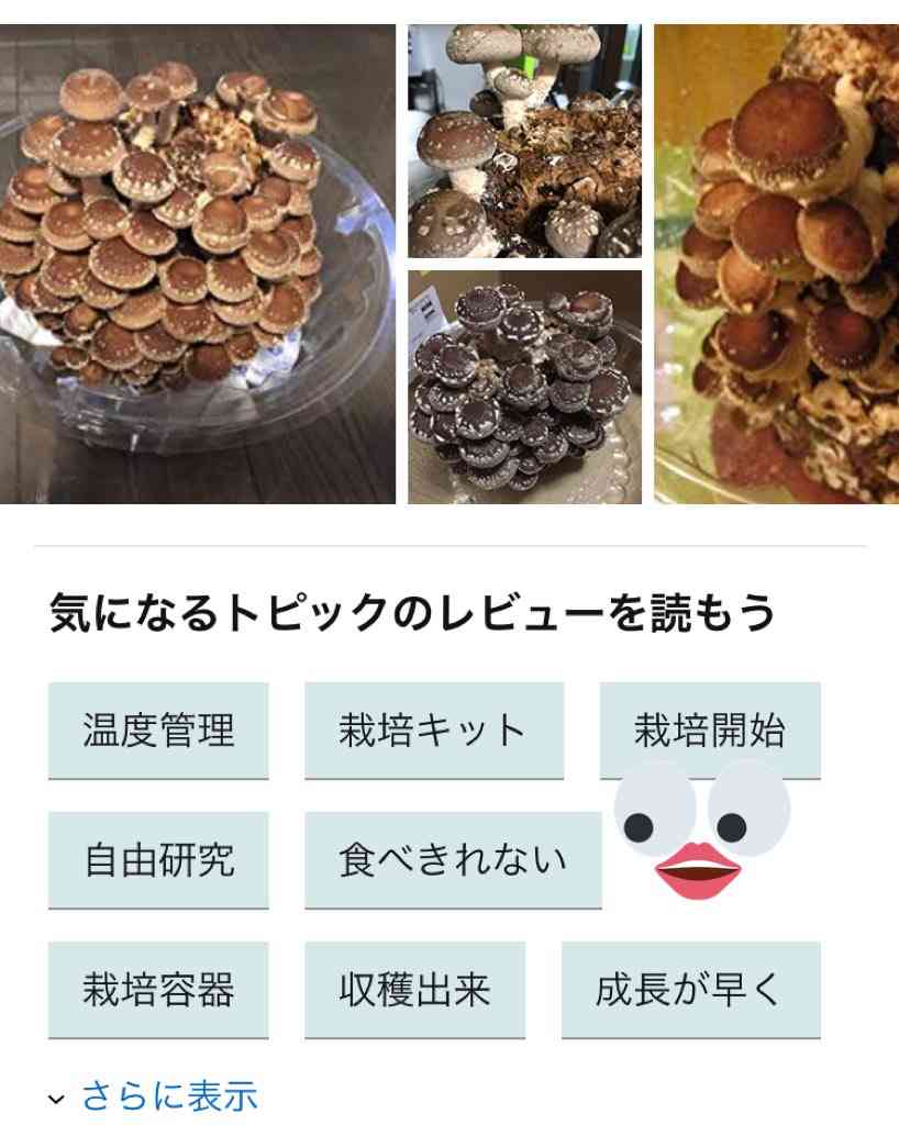 小学生の自由研究