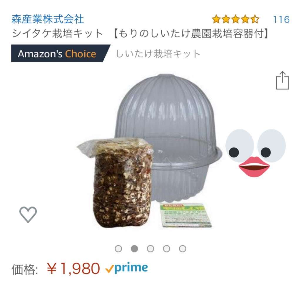 小学生の自由研究