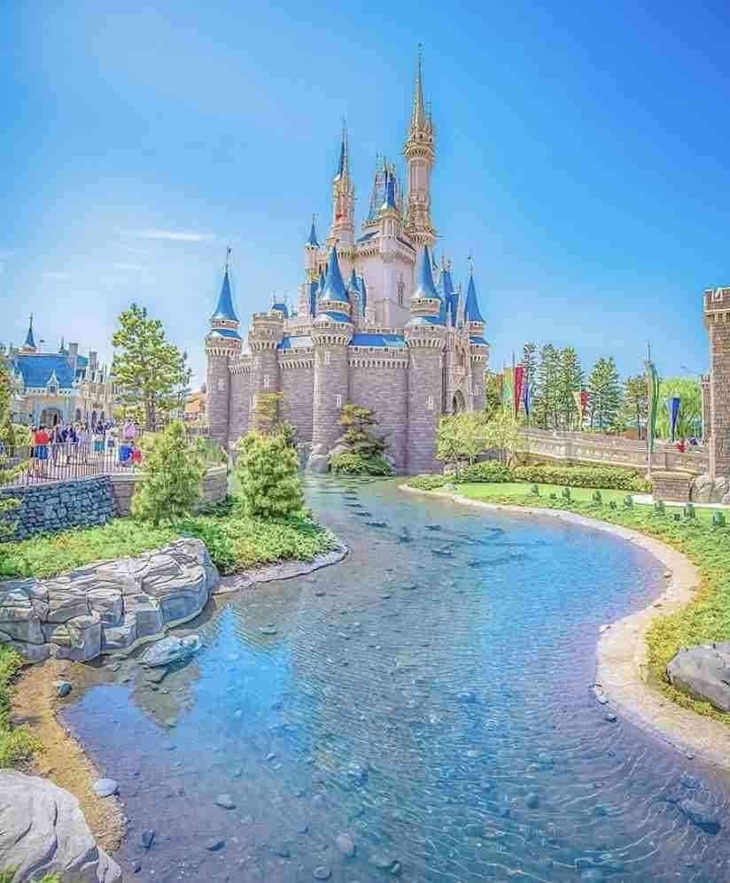 一人でディズニーランドorシー行ったことある人