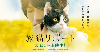 何だかんだで福士蒼汰が好き