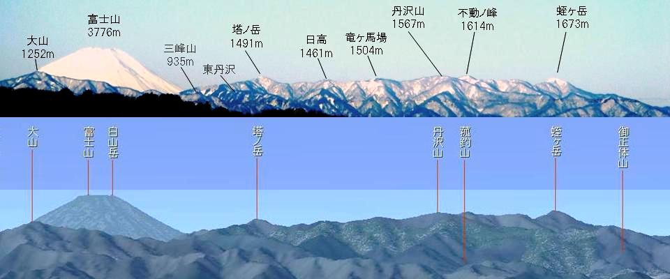 小学生の自由研究