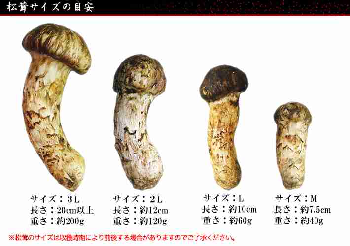 フワフワしたものを書いて癒され、7の倍数でカチカチしたものを書いて気を引き締めるトピ