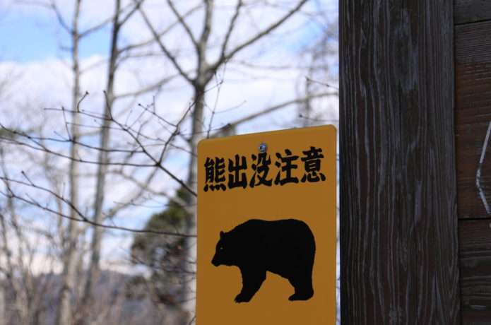 北海道でヒグマの被害相次ぐ 飼い犬が襲われ死骸を穴に埋める姿も