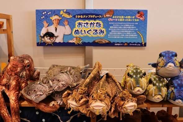 「史上最強にリアルです」　さかなクン監修のぬいぐるみが生々しすぎると話題に - ニュース - Jタウンネット　東京都