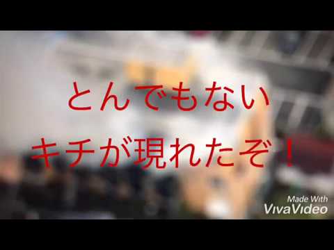 京都アニメーションのスタジオで・・・ - YouTube