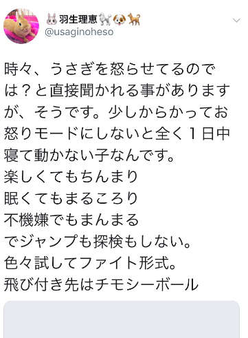 渡辺美奈代、体調の悪くなった愛犬への雑な対応に非難轟々「本当に信じられない！」