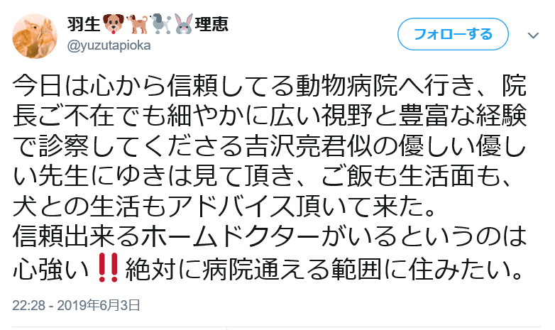 渡辺美奈代、体調の悪くなった愛犬への雑な対応に非難轟々「本当に信じられない！」