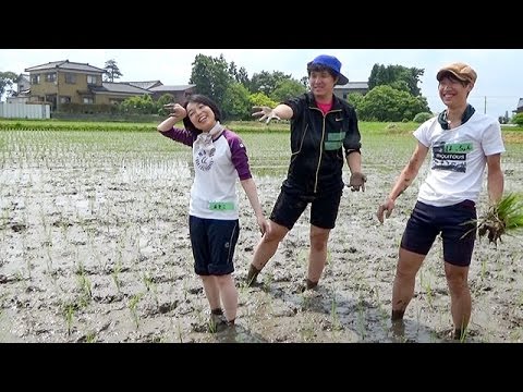学生たちと田植えをする彬子さま - YouTube
