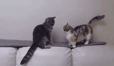 最後に「〜のであった」をつけて会話するトピックス