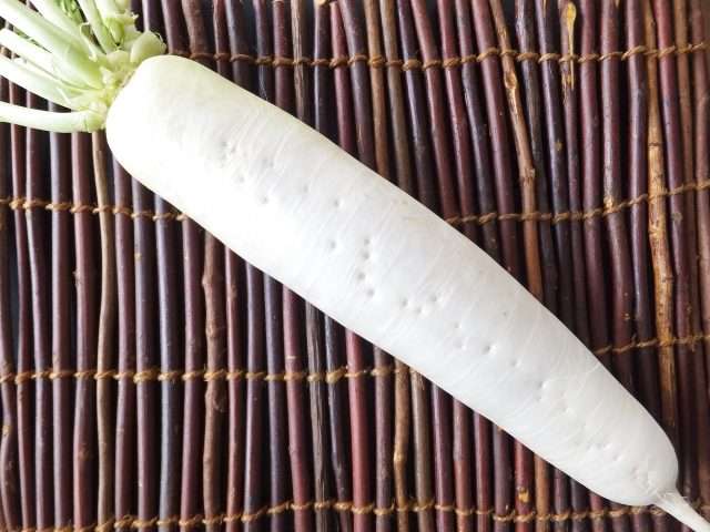 野菜の豆知識を発表し合う