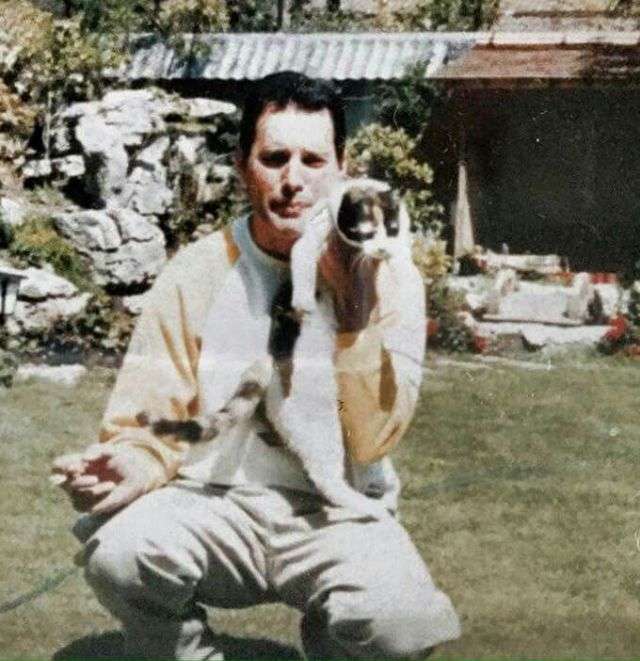 花や動物と一緒に写ってる芸能人写真