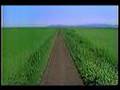 道 - YouTube