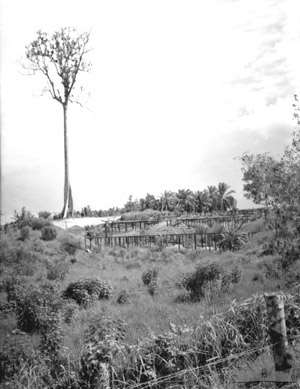 サンダカン死の行進 - Wikipedia