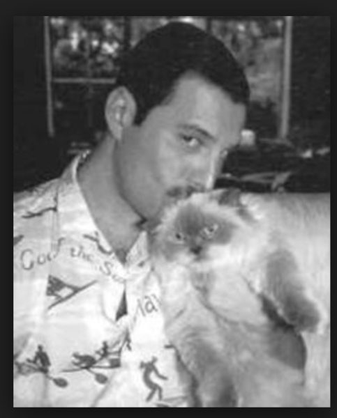 映画のその後を妄想するトピ