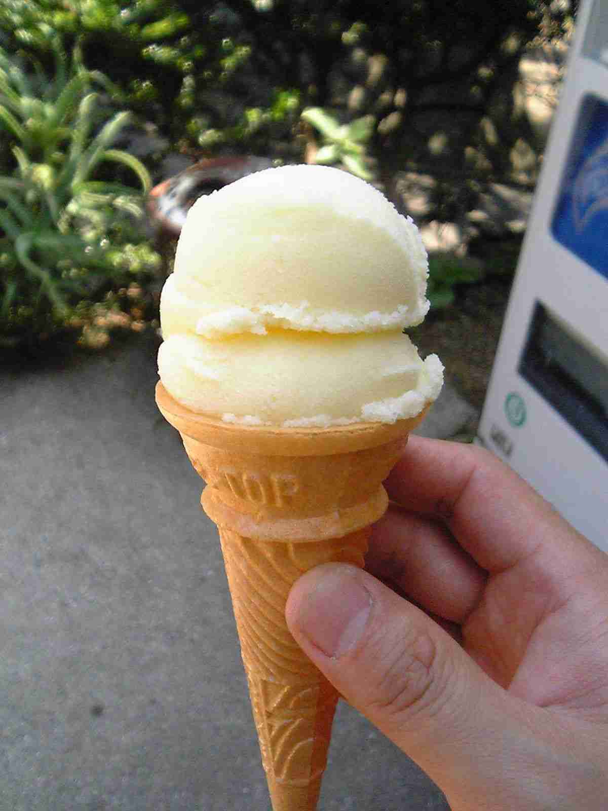 【気分だけでも！】夏の冷菓、画像＆コメントのトピ