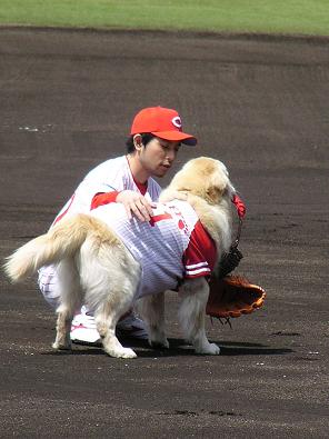始球式やった有名人が見たい