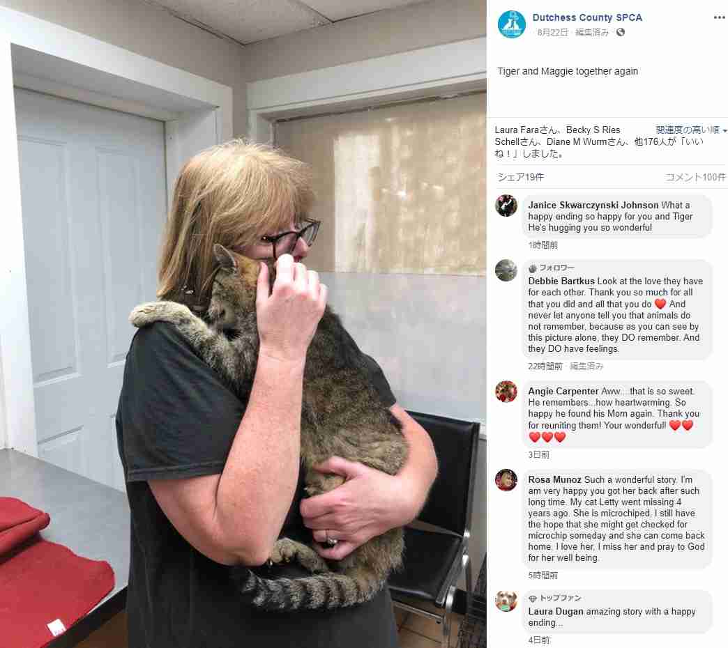 11年間行方不明だった猫、マイクロチップにより無事飼い主のもとへ（米）
