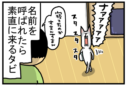 猫のくせに素直な一面もっちゃって : まめきちまめこニートの日常