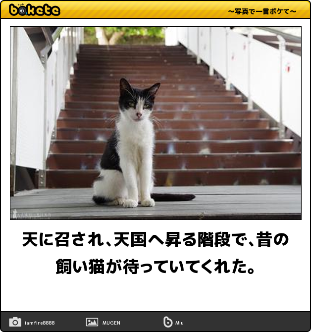 お気に入りの画像貼ってくトピ