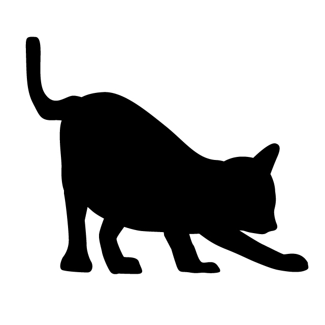 ヤマネコではありません。メインクーンでもありません。体重約12キロの巨大猫の姿にネットがどよめく