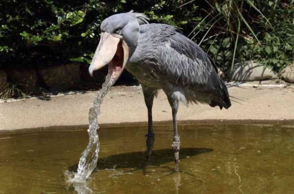 【なつぞら】第18週　なつよ、どうするプロポーズ