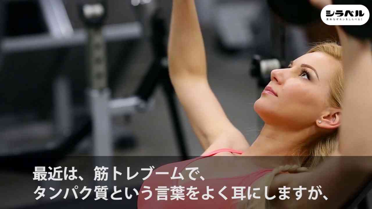 タンパク質はどうして人間に大切？？ - YouTube