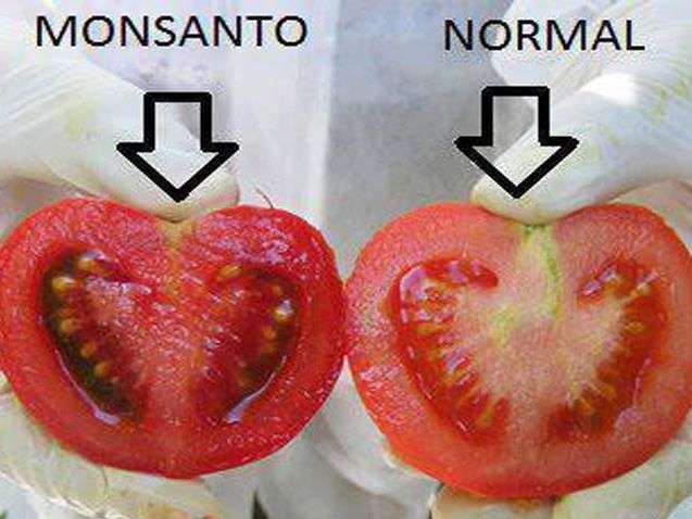 12 productos “Cáncer” creados por Monsanto | El mundo de los locos