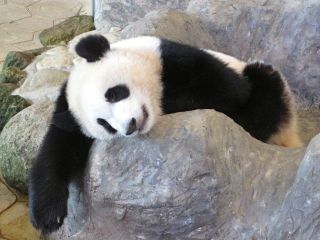 【面接時】この職場はないな、と思った事