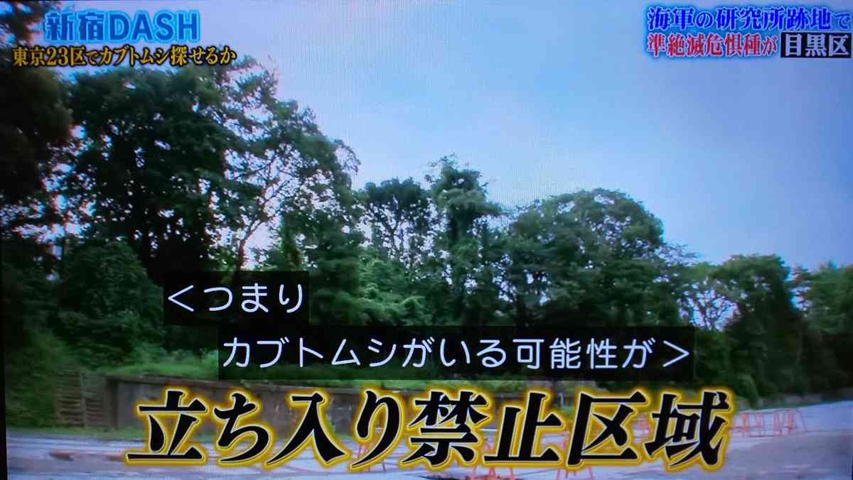 二宮和也、「国分太一のどこが好き？」　素直過ぎる発言に「ひどい」