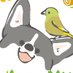 みおか on Twitter: 