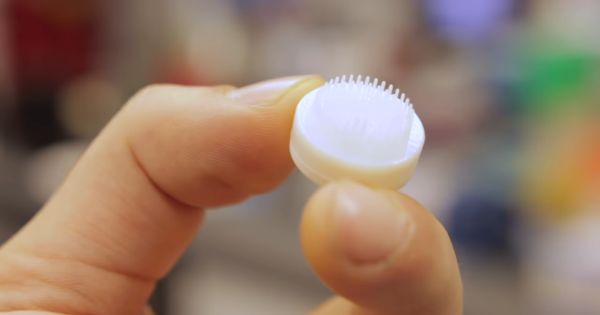 シャーレ上でヒト毛包の生成に成功——3Dプリンターを活用した毛髪再生治療法の研究 | fabcross