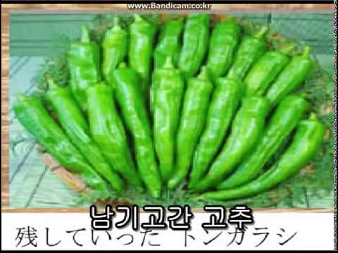 「우리나라 만세이」 ウリナラマンせー - YouTube