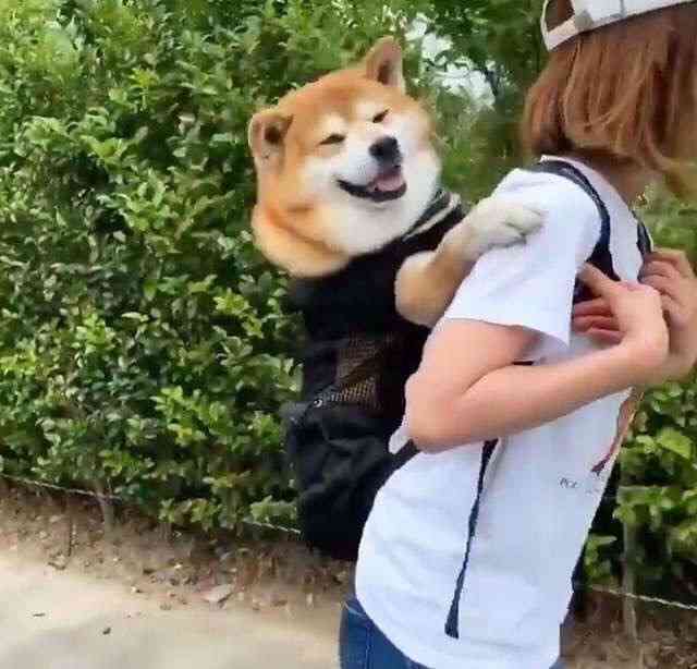 ガルちゃんで画像(サイト)を貼り付ける方法&練習Part24